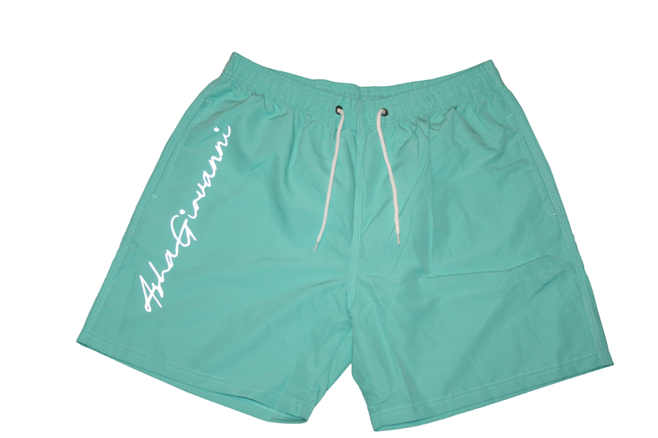 Sea Blue Reflective Logo Swim Trunks